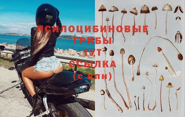 круглые Алзамай